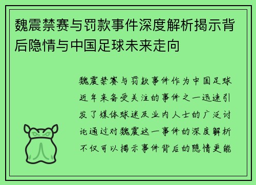 魏震禁赛与罚款事件深度解析揭示背后隐情与中国足球未来走向 魏震禁赛与罚款事件深度解析揭示背后隐情与中国足球未来走向